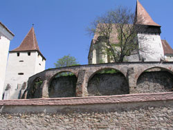 Saxon Churches